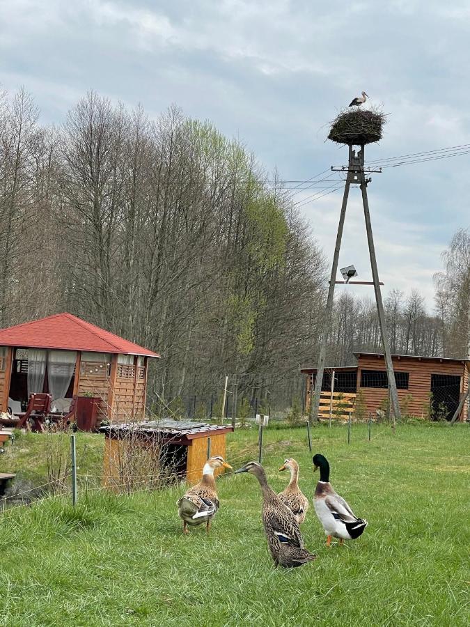 Farm stay Agro Na Wapniarni